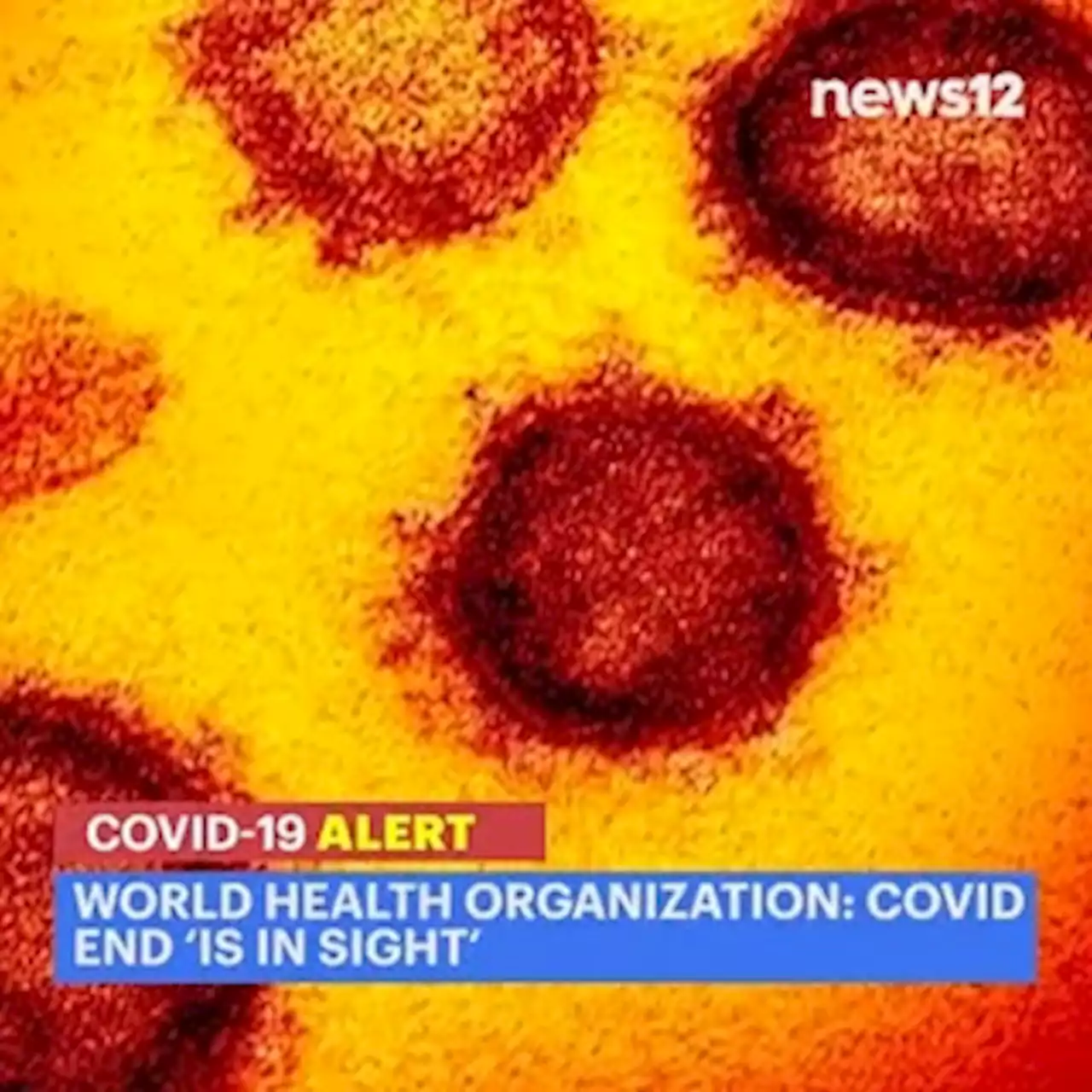 WHO: COVID end 'in sight,' deaths at lowest since March 2020