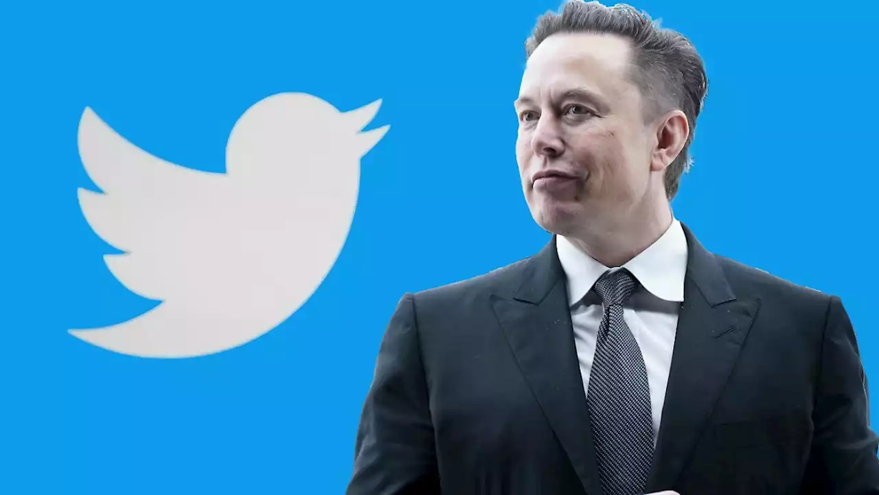 Twitter-Aktionäre geben grünes Licht für Übernahme durch Musk