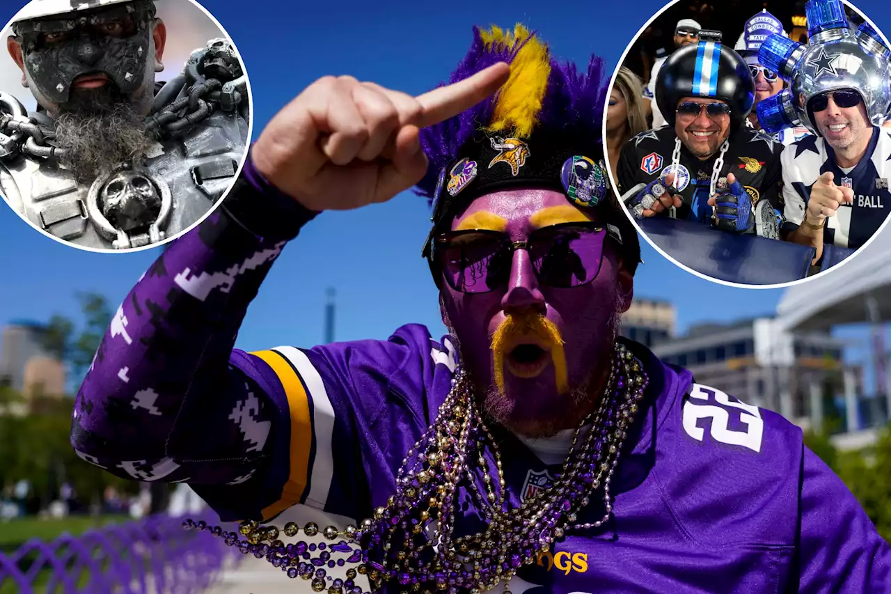 NFL fans costumed and crazed