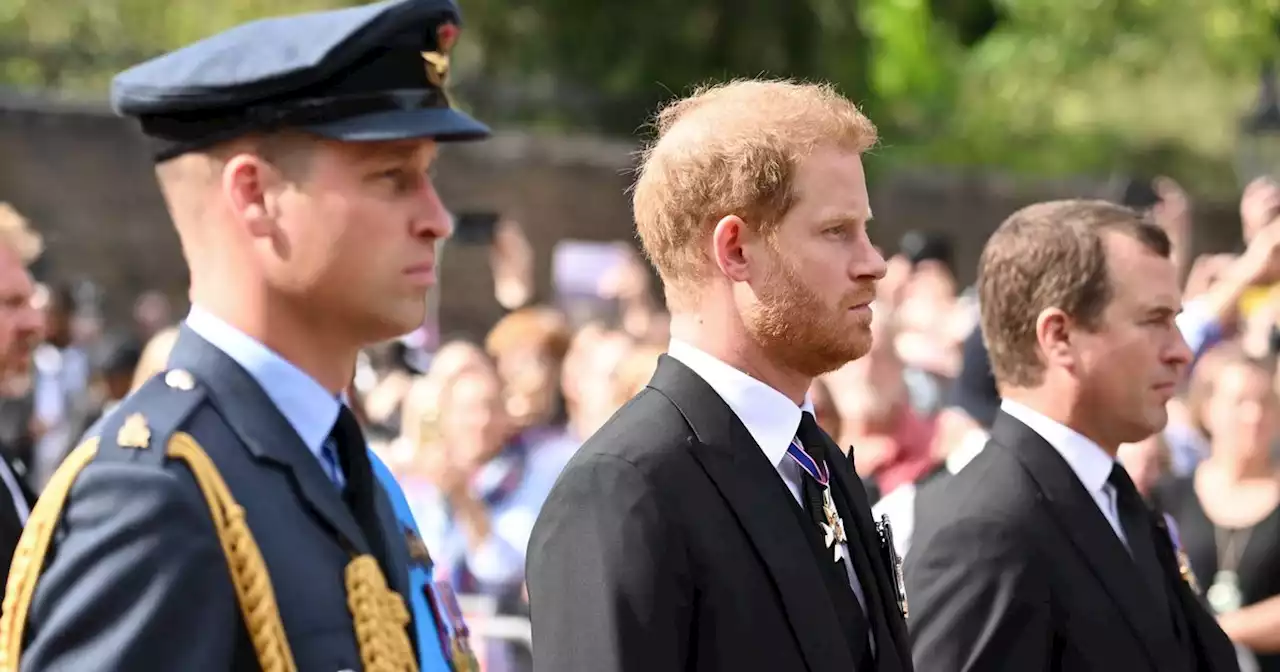 Harry and William 'reliving Princess Diana’s funeral’ leaves fans ‘broken’