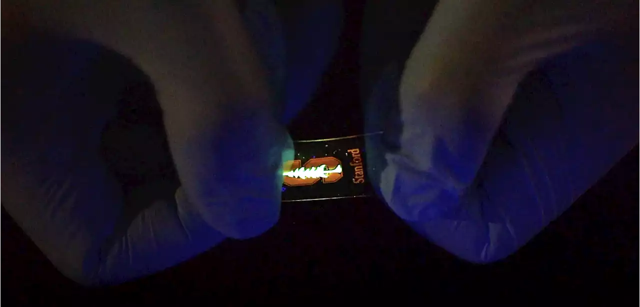 Stanford engineers made a tiny LED display that stretches like a rubber band