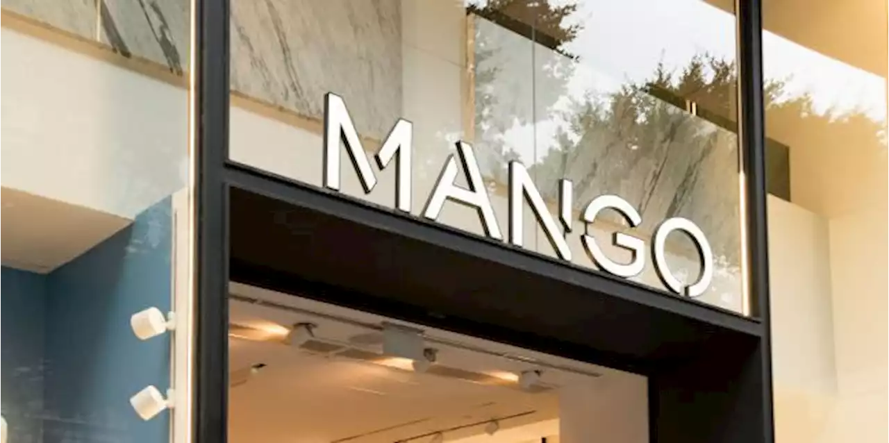 12 autumn fashion hits at Mango