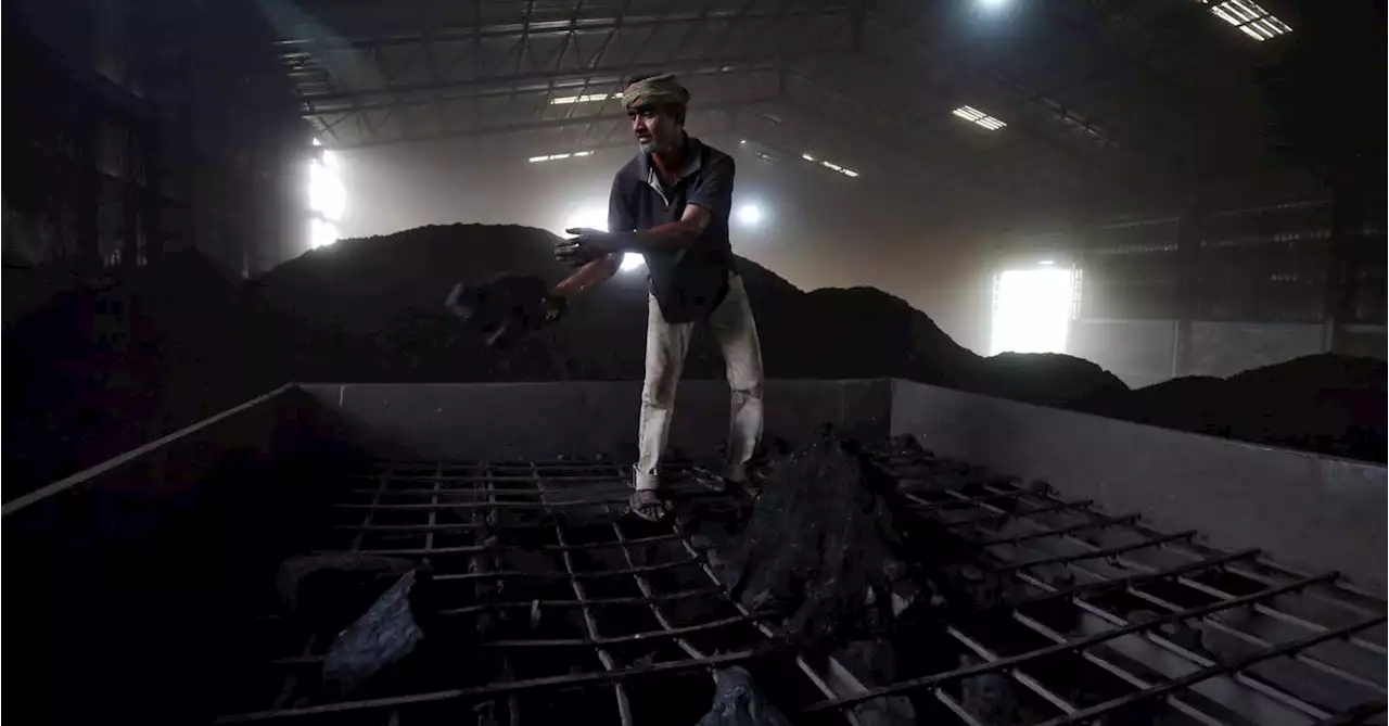 India narrows thermal coal imports gap with top buyer China