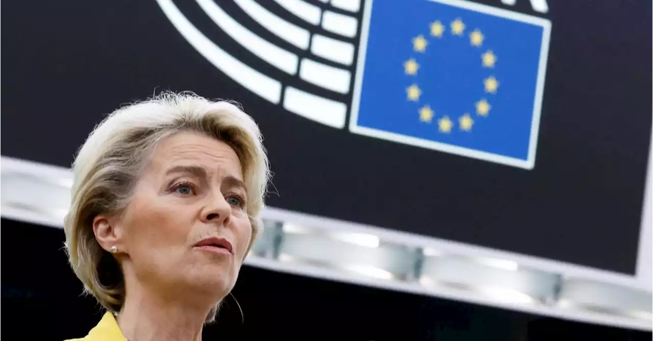 EU will double firefighting capacity to tackle climate impacts, von der Leyen says