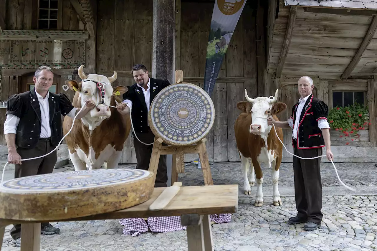 Ein Käse für eine Kuhrasse - Schweizer Bauer