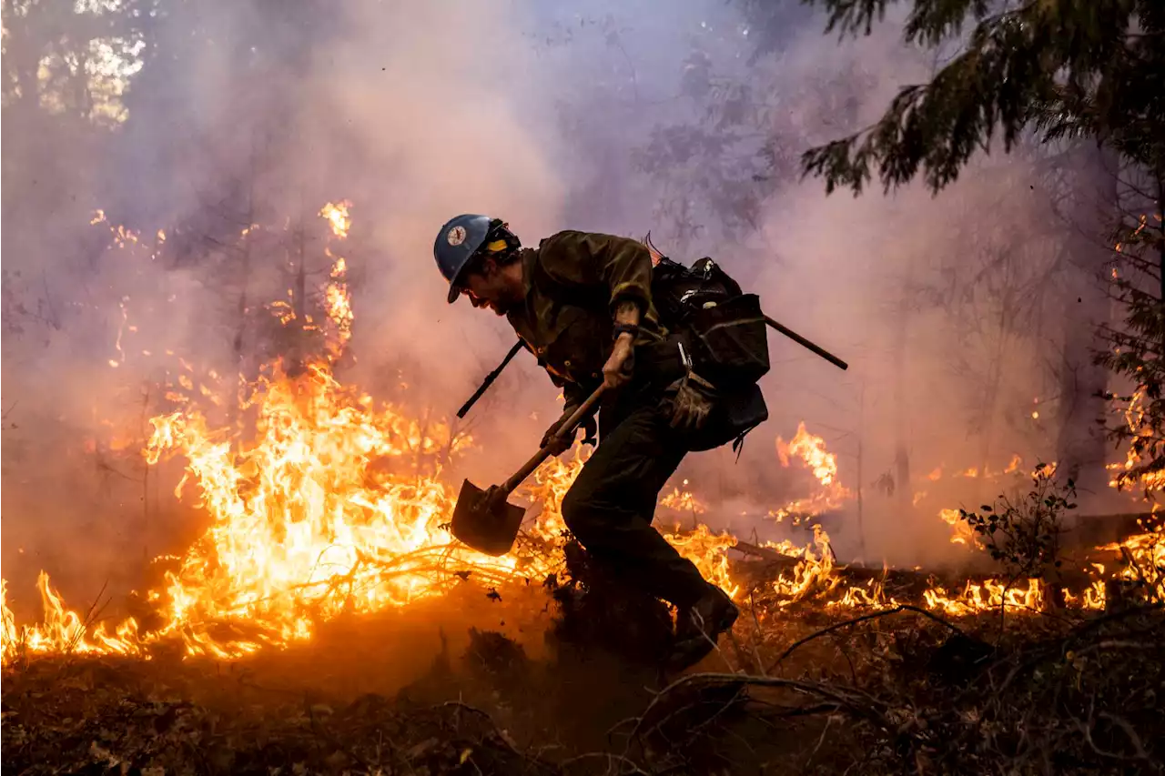 Firefighters save the town of Foresthill from the Mosquito Fire