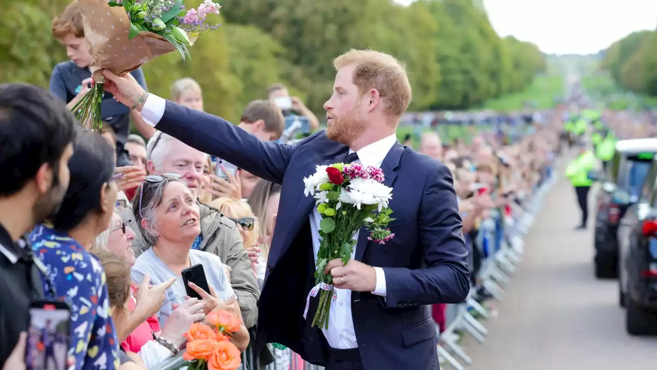 Prince Harry takes on key procession role with King Charles, William