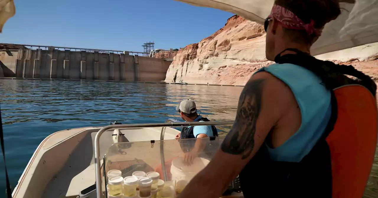 In Arizona, worry about access to Colorado River water