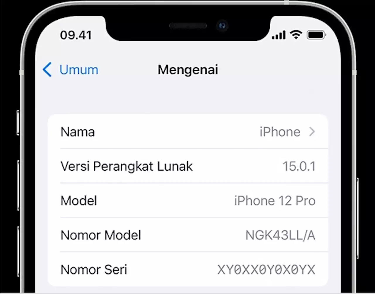 Cara Cek IMEI iPhone untuk Memastikan Asli Apa Palsu