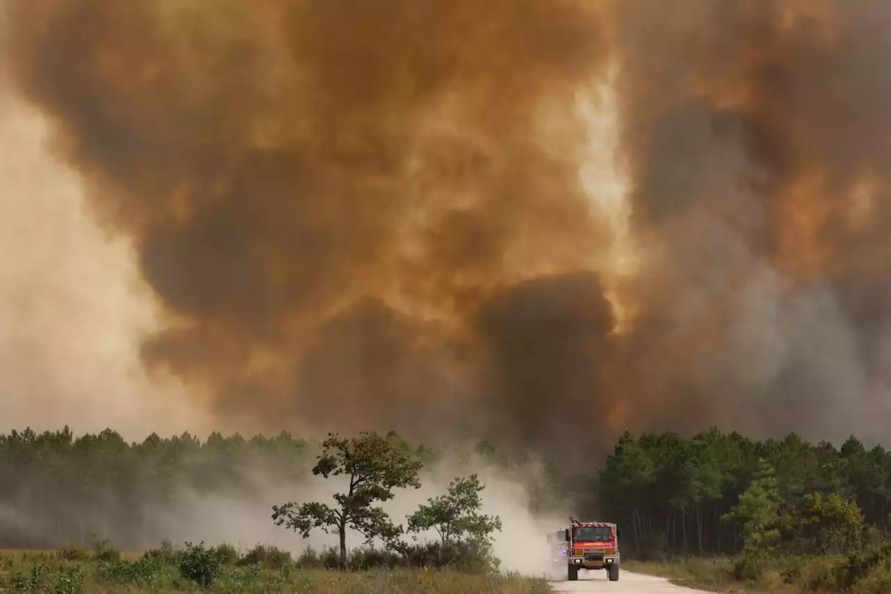 Incendie en Gironde : dans le Médoc, les flammes ont avalé 3 270 hectares de forêt