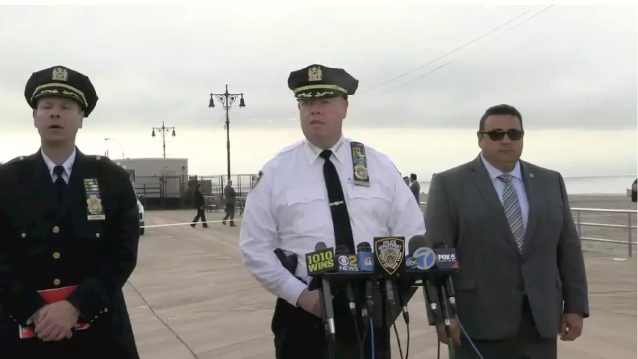 Deaths of 3 Children on Coney Island Are Ruled Homicides