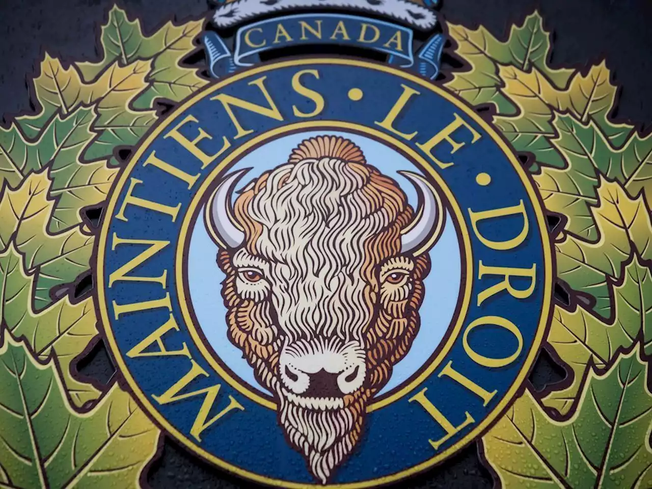 More arrests, charges in Witchekan Lake shooting incident that drew RCMP alert