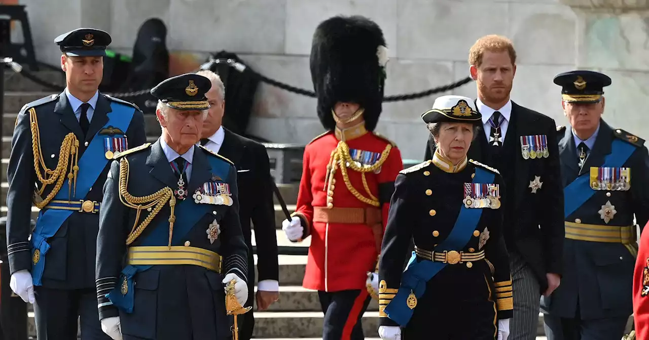 Harry, William Walk Next to Each Other at Queen's Westminster Procession