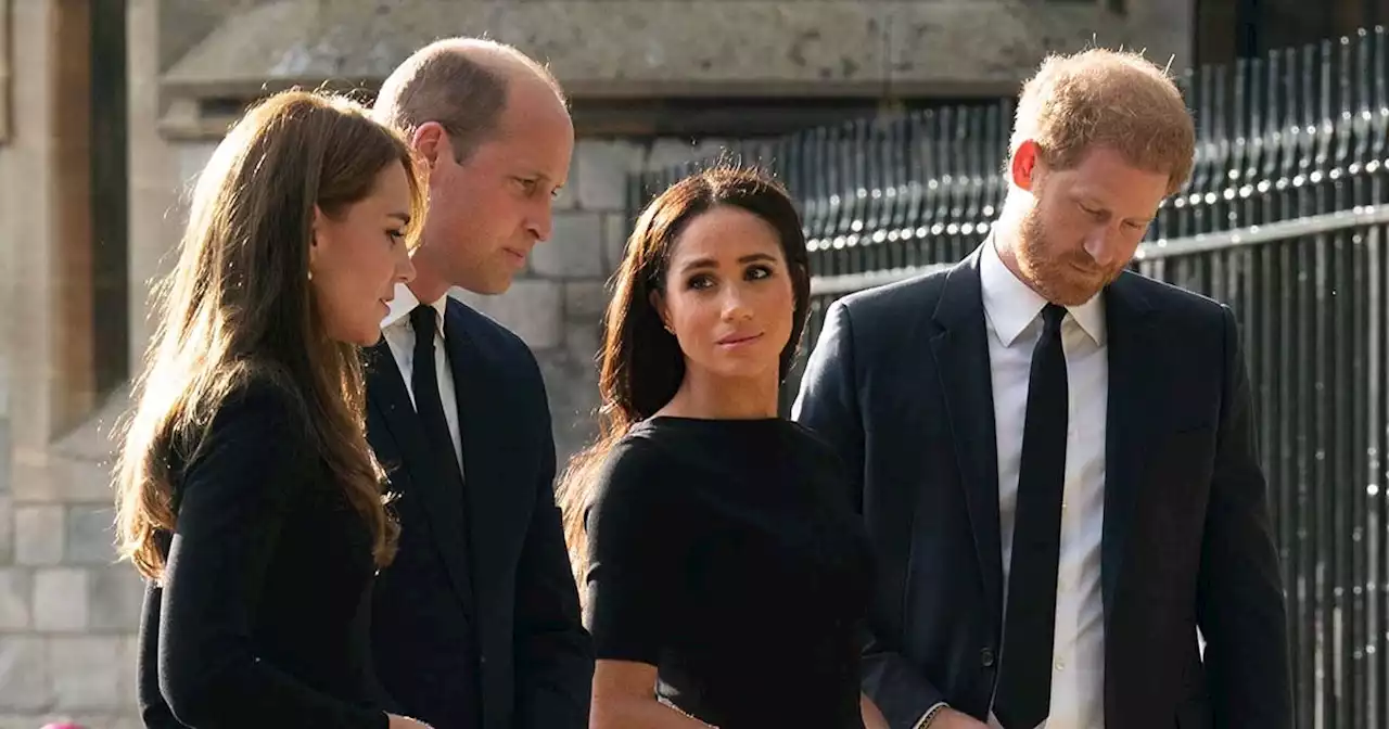 Prince William’s Invite for Harry, Meghan to Greet Mourners Wasn’t 'Easy'