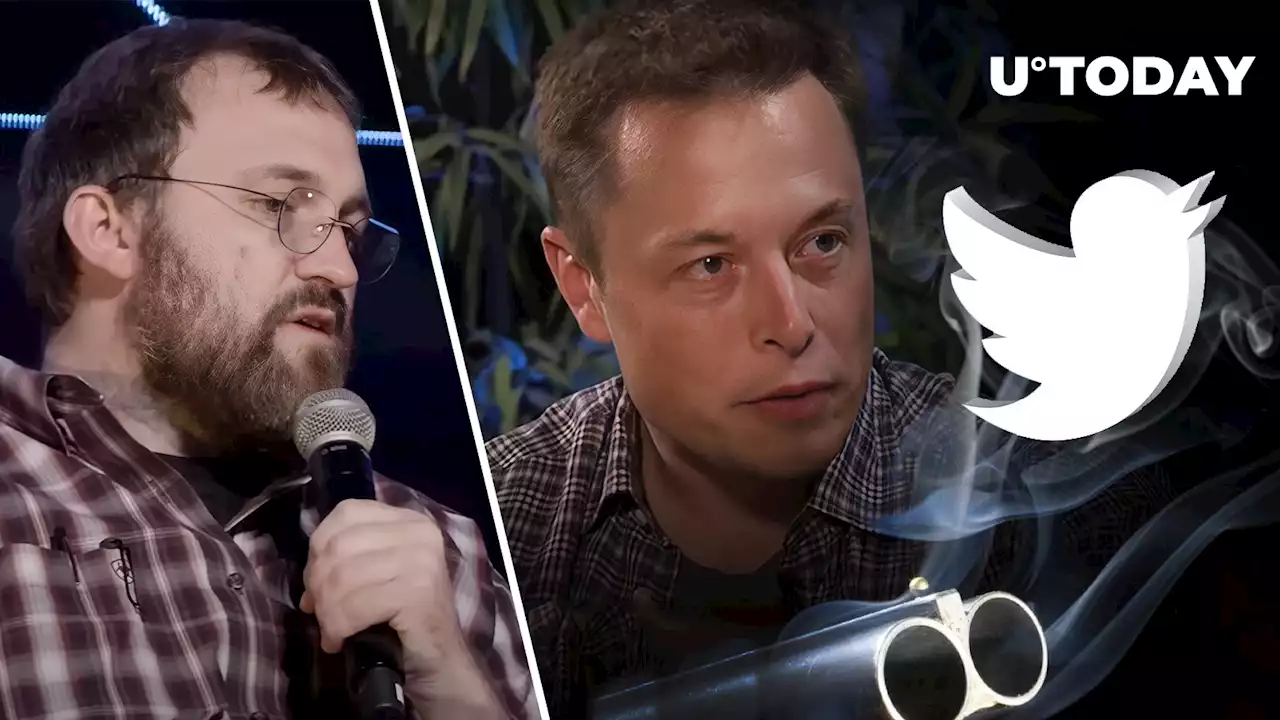 Cardano's Charles Hoskinson on Elon Musk's Twitter Deal: 'Shotgun Wedding' Coming