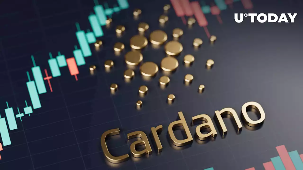 Cardano Users Should Watch These Crucial Dates on Road to Vasil: Details