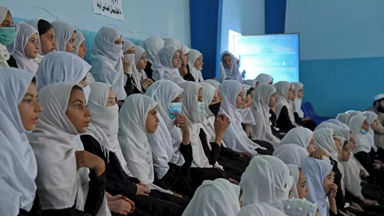 Rusia Bela Taliban dalam Isu Hak Pendidikan bagi Anak Perempuan