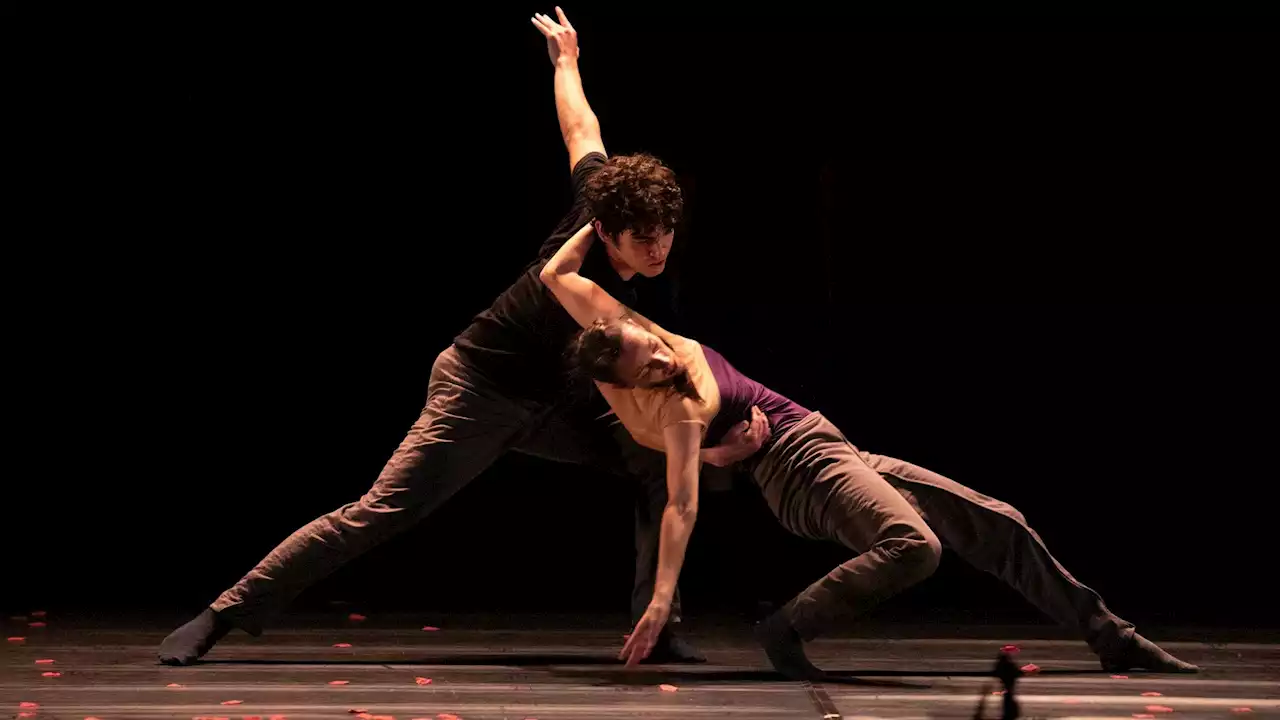 A Transfixing Work of Dance Theater by Alejandro Cerrudo Unfolds at Harris Theater