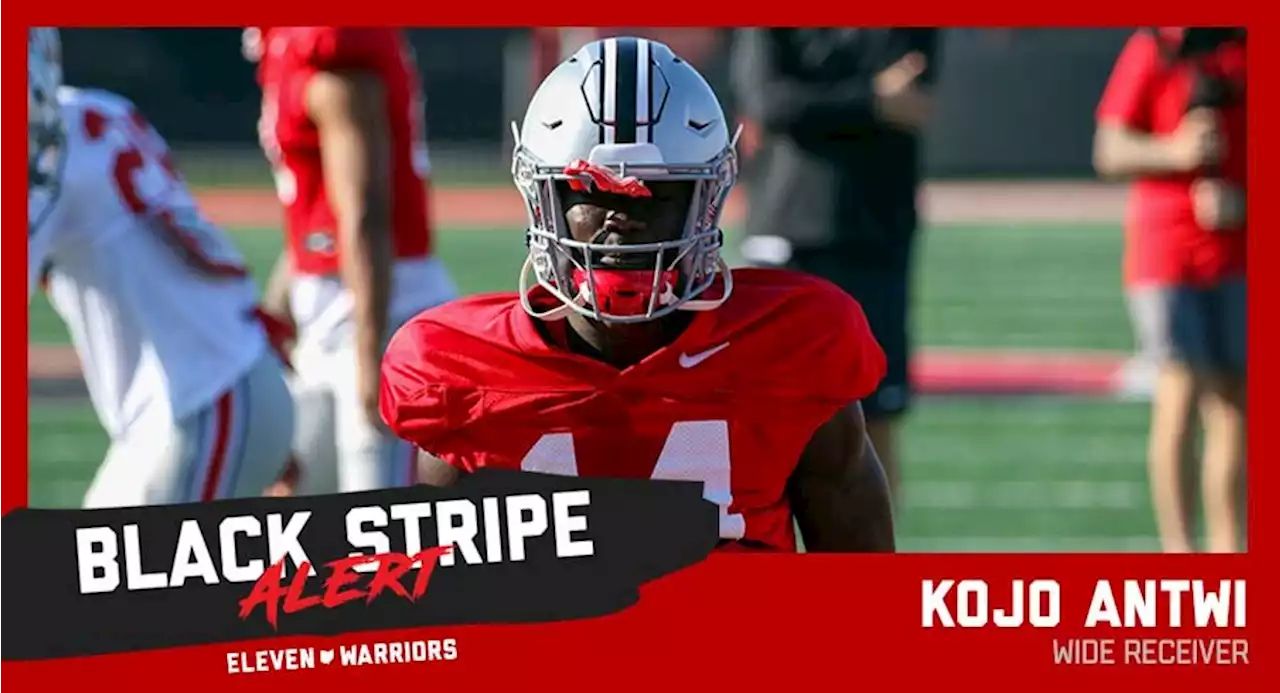 Freshman Wide Receiver Kojo Antwi Becomes 11th First-Year Buckeye to Shed Black Stripe