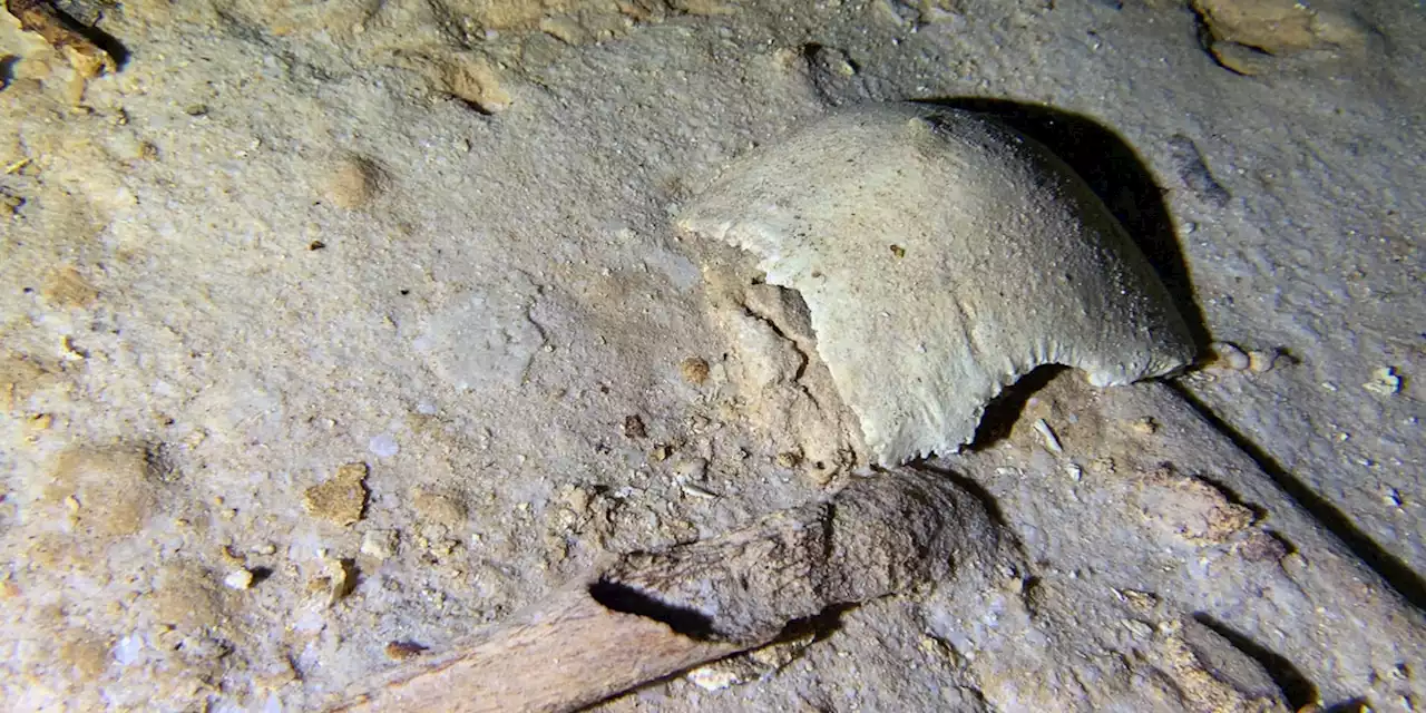 VIDEO: Divers find prehistoric human skeleton in ancient cave