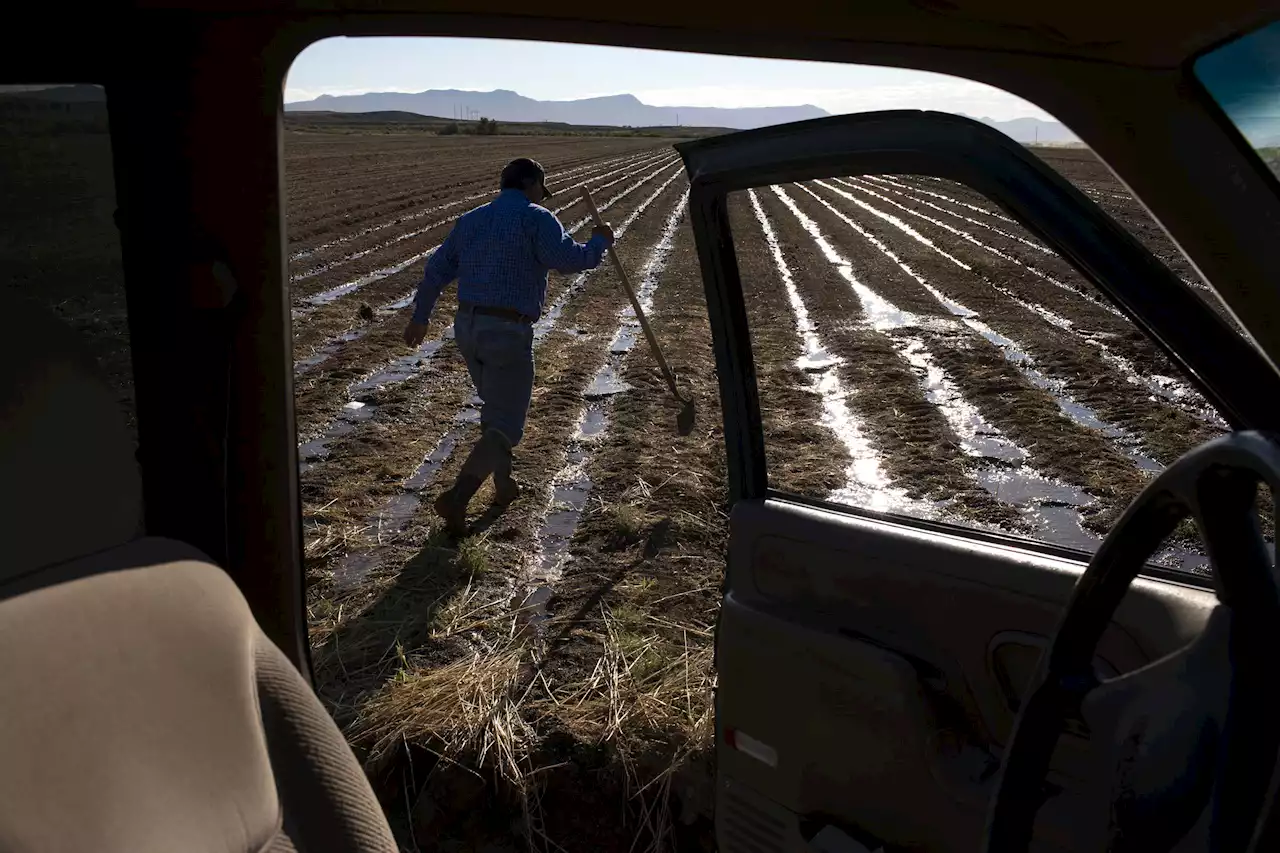 Farming, water and Wall Street on Colorado’s Western Slope