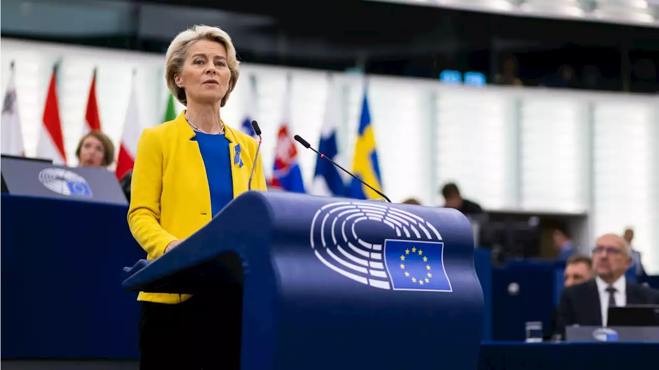 EU unveils plans to combat energy crisis and vows solidarity with Ukraine