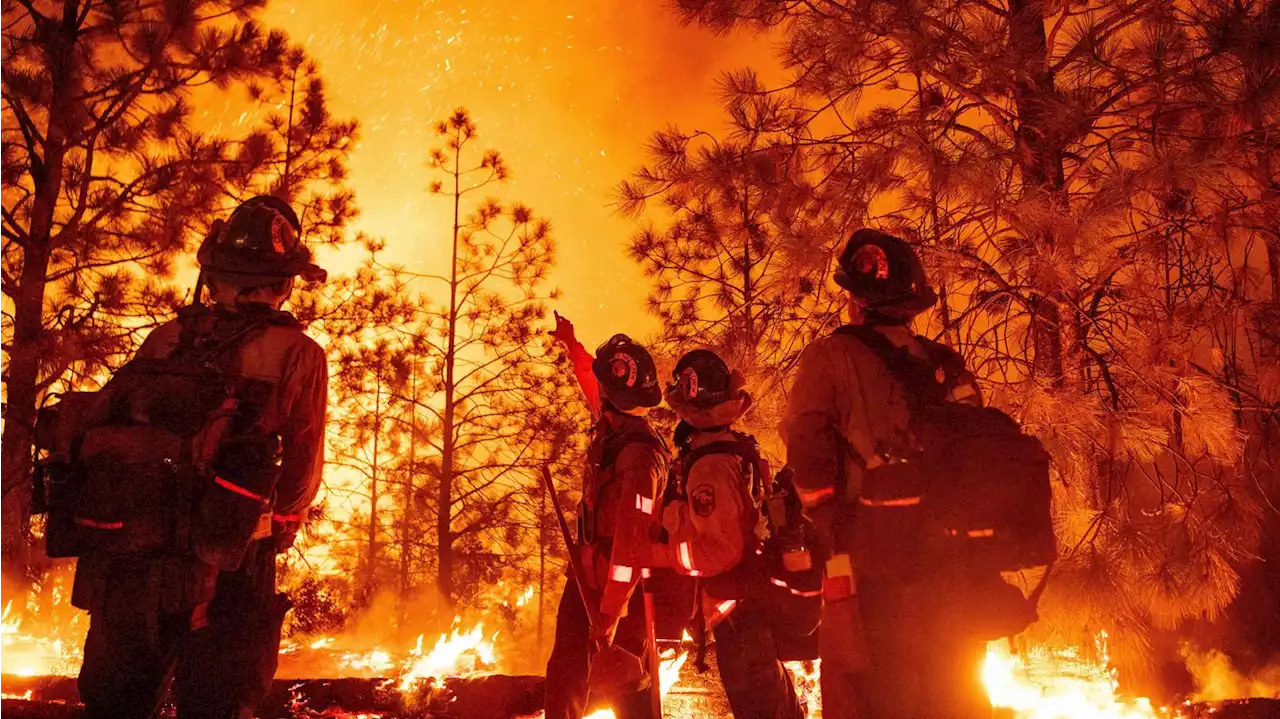 Swelling Mosquito Fire surpasses 60,000 acres to become California's largest wildfire this year