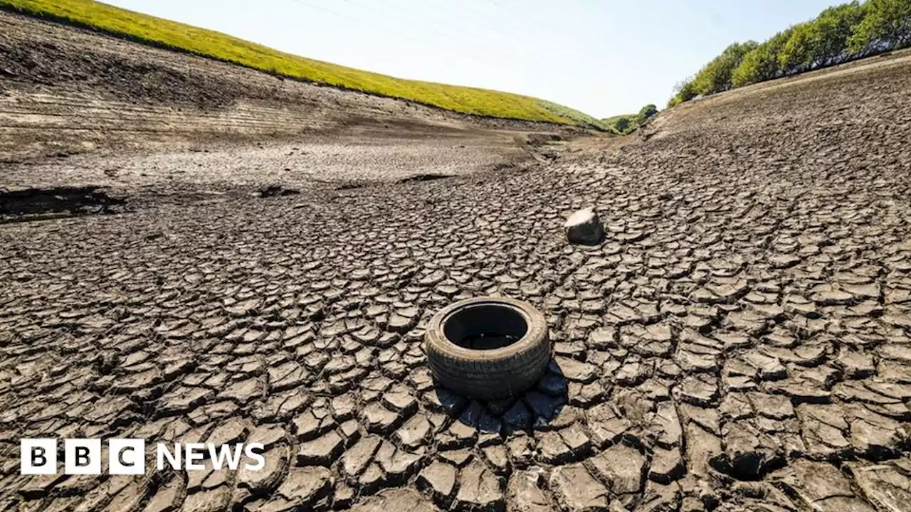 Worth Valley: Temporary pipe to top up drought-hit reservoirs