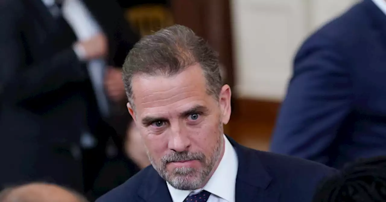 Judge refuses to Force Release of Hunter Biden Gun Purchase Records