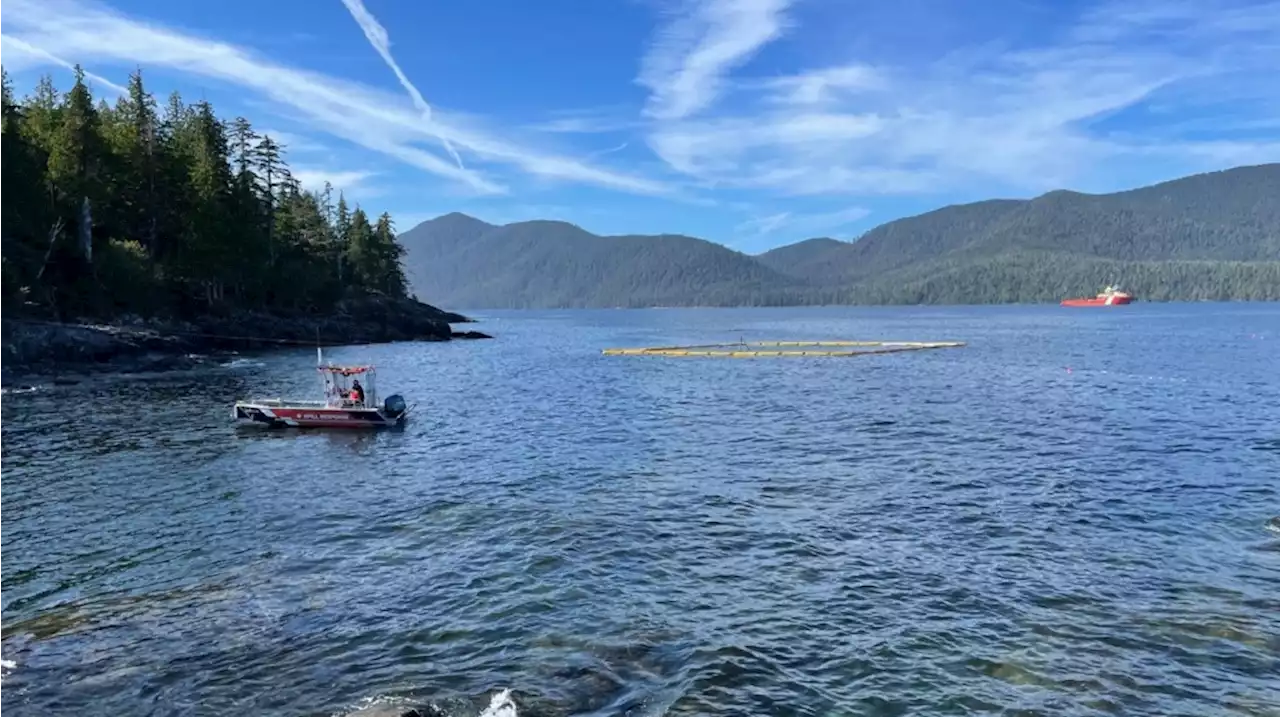 Coast guard concerned about pollution after tour boat sinks near Haida Gwaii