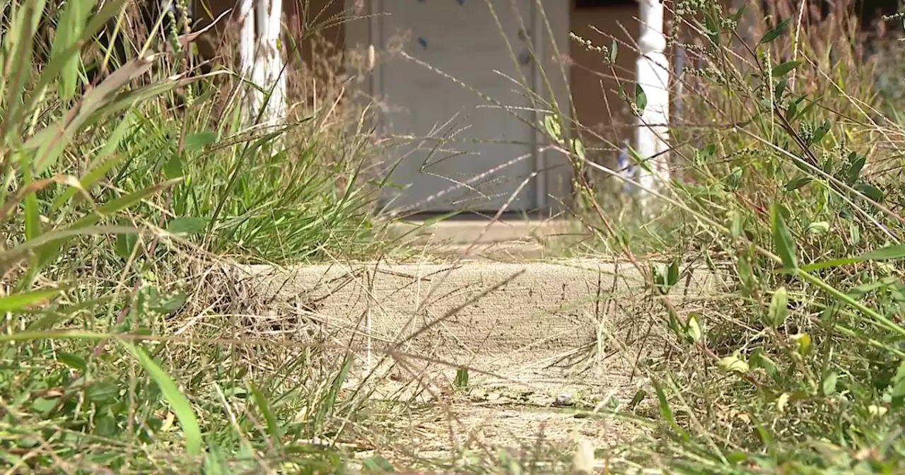 Four months later, repairs still underway after 'devastating' water main break in Denver neighborhood