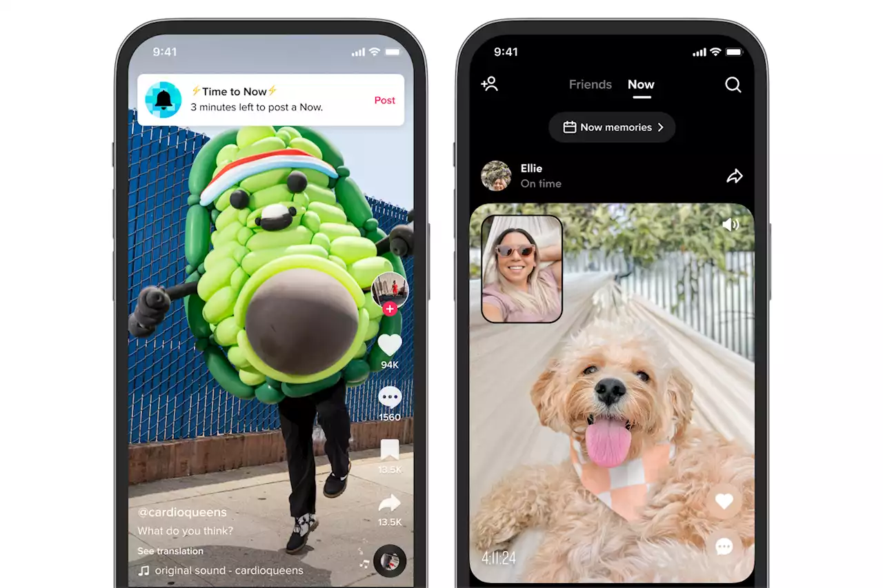 TikTok experiment asks you to share BeReal-style daily posts with friends | Engadget