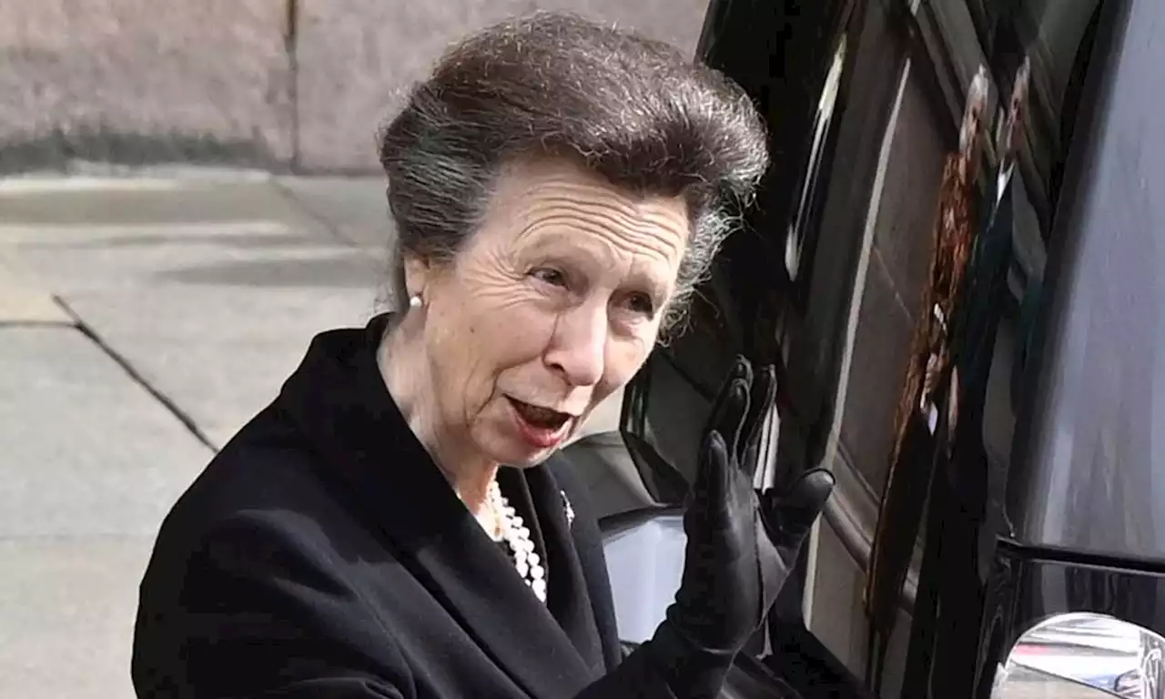 Princess Anne pictured without uniform for poignant occasion