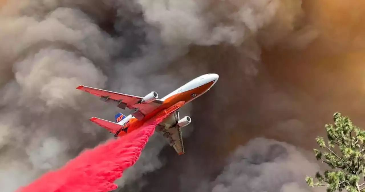 Mosquito Fire: Firefighters halt wind-whipped wall of flames near Foresthill