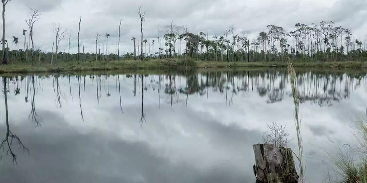 La Chine accusée de causer des dommages à l'environnement en Amérique latine