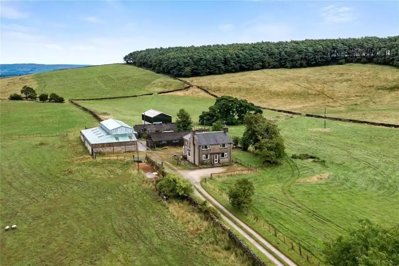 Homes Under the Hammer: Farmhouse with 170 acres of pristine Lancastrian land for sale at auction