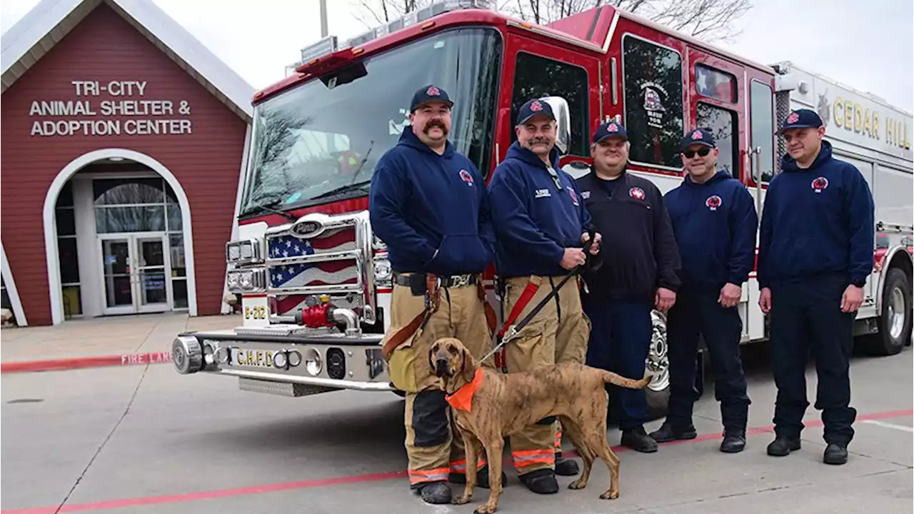 Cedar Hill Fire Department is Home to ASPCA Dog of the Year