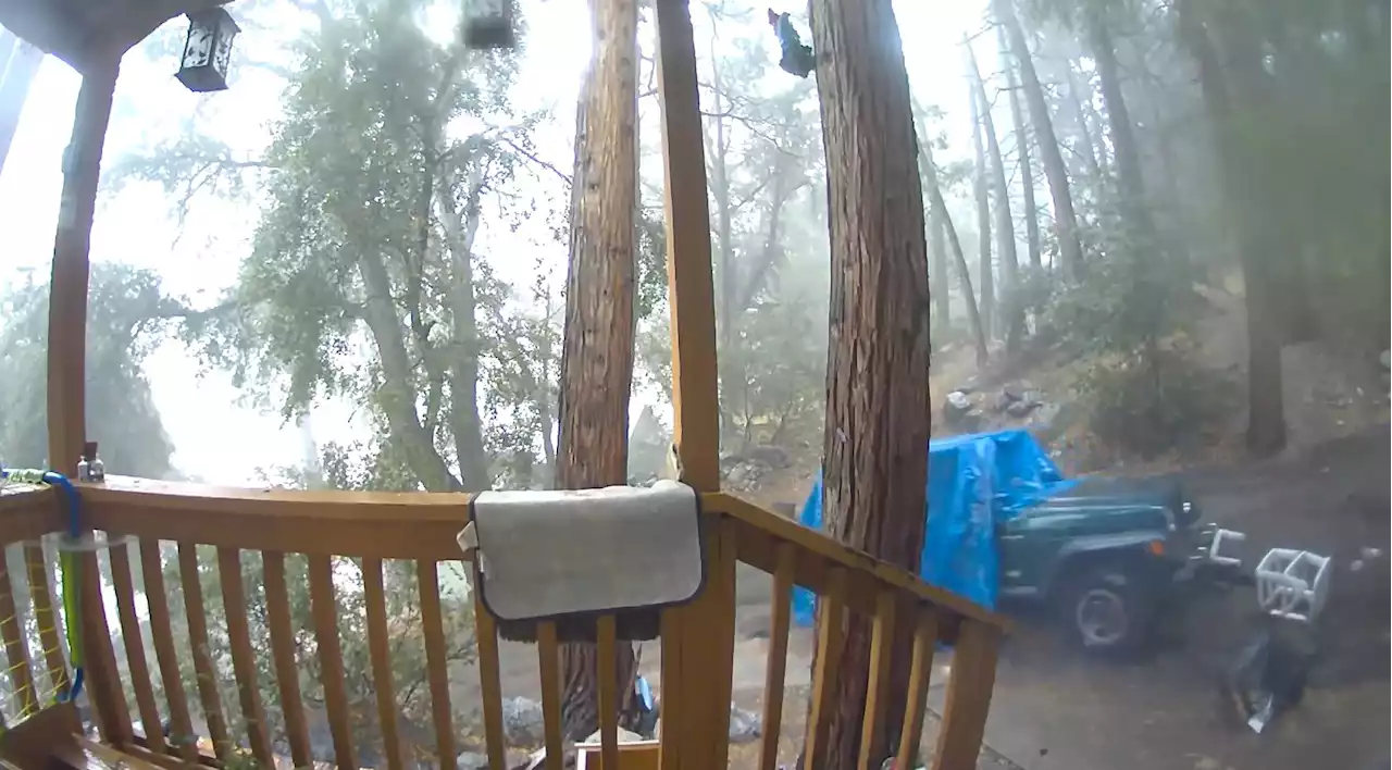 Watch: Jeep Wrangler Carried Away by Powerful Forest Falls Mudslide