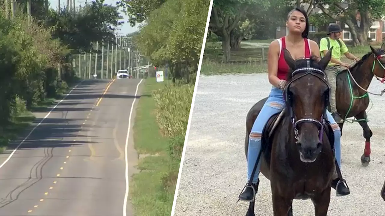 Horse Killed, Teen Rider Hospitalized in NJ Hit-and-Run Crash