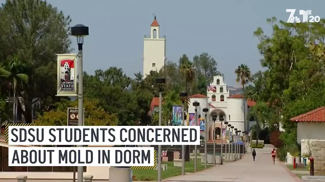 San Diego State Students Concerned About Mold in Their Dorm Room Air Vents