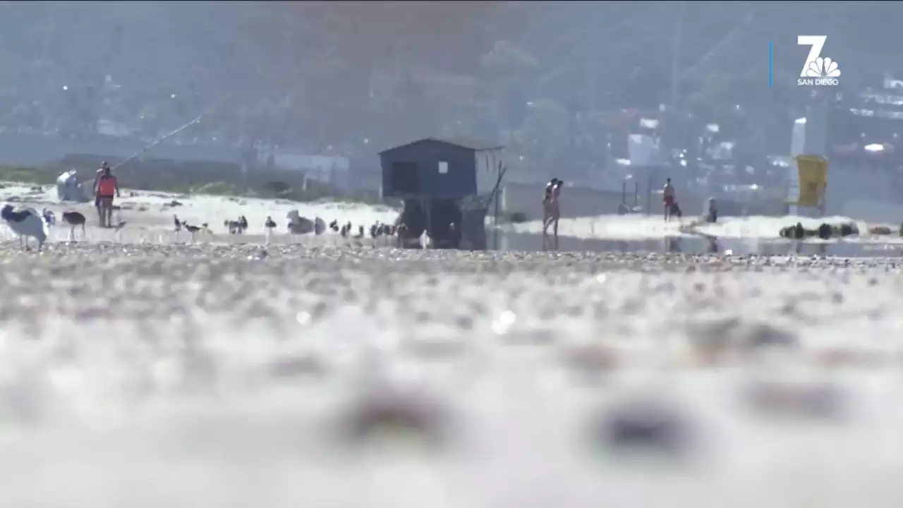 This Houseboat Washed Up in Coronado –Shingles, Sliding Doors & All — During Storm Kay