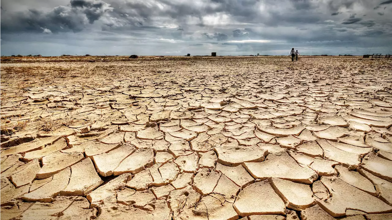 Casi la mitad de los españoles creen que tendrán que migrar por el cambio climático, según un estudio