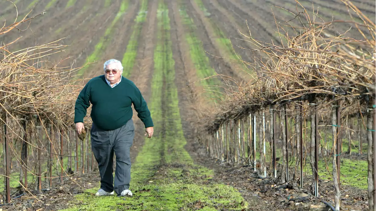 Fred Franzia, creator of 'Two Buck Chuck' and champion of affordable wine, has died