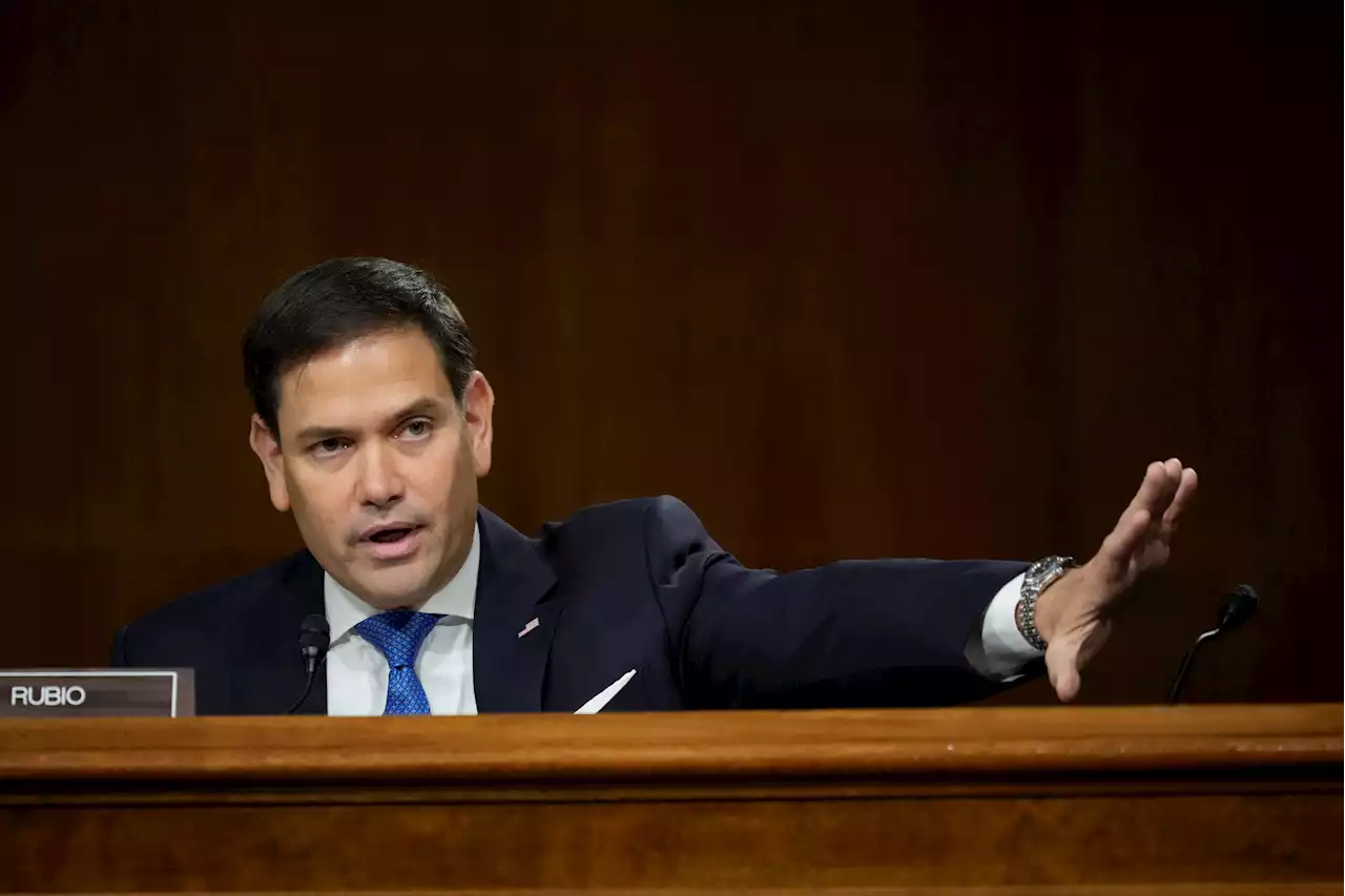 Rubio is embracing a federal abortion ban. Florida Dems see an opening.