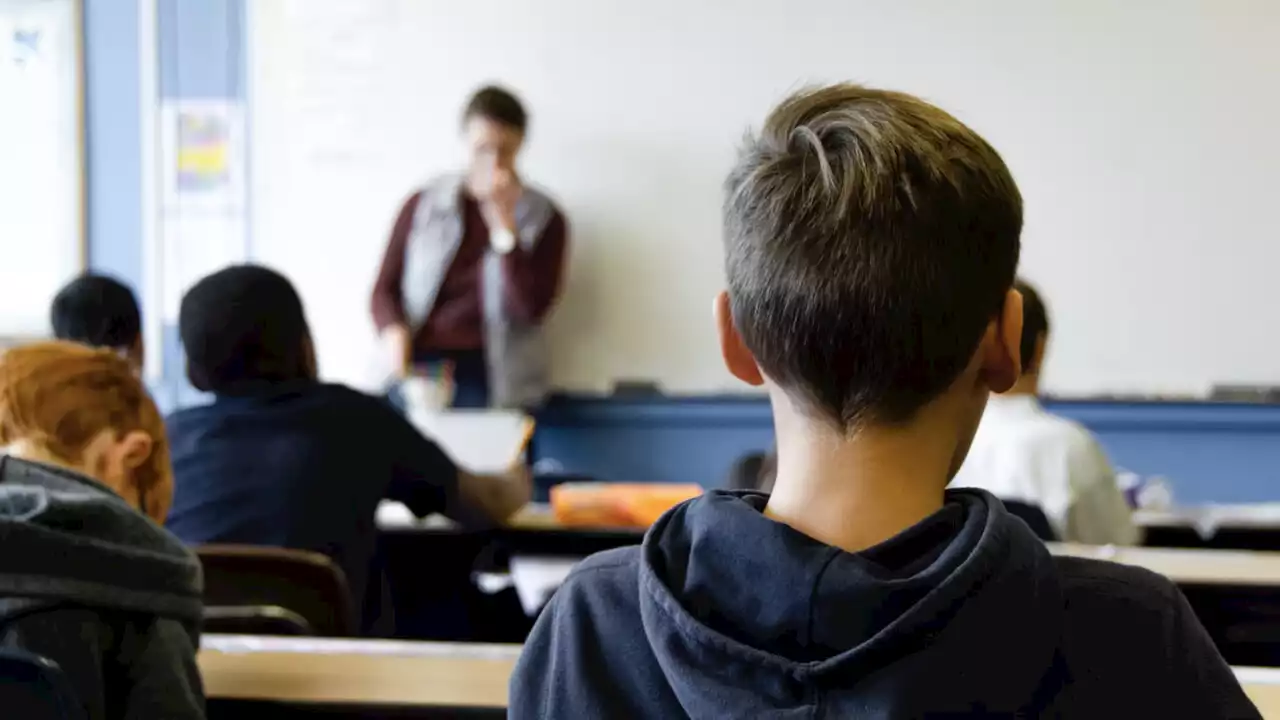 Scuola, a Roma record di 'classi pollaio': quasi 2.000 sono in sovrannumero