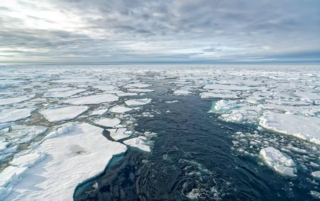 Scientists Can Now Monitor Thinning Sea Ice Year-Round