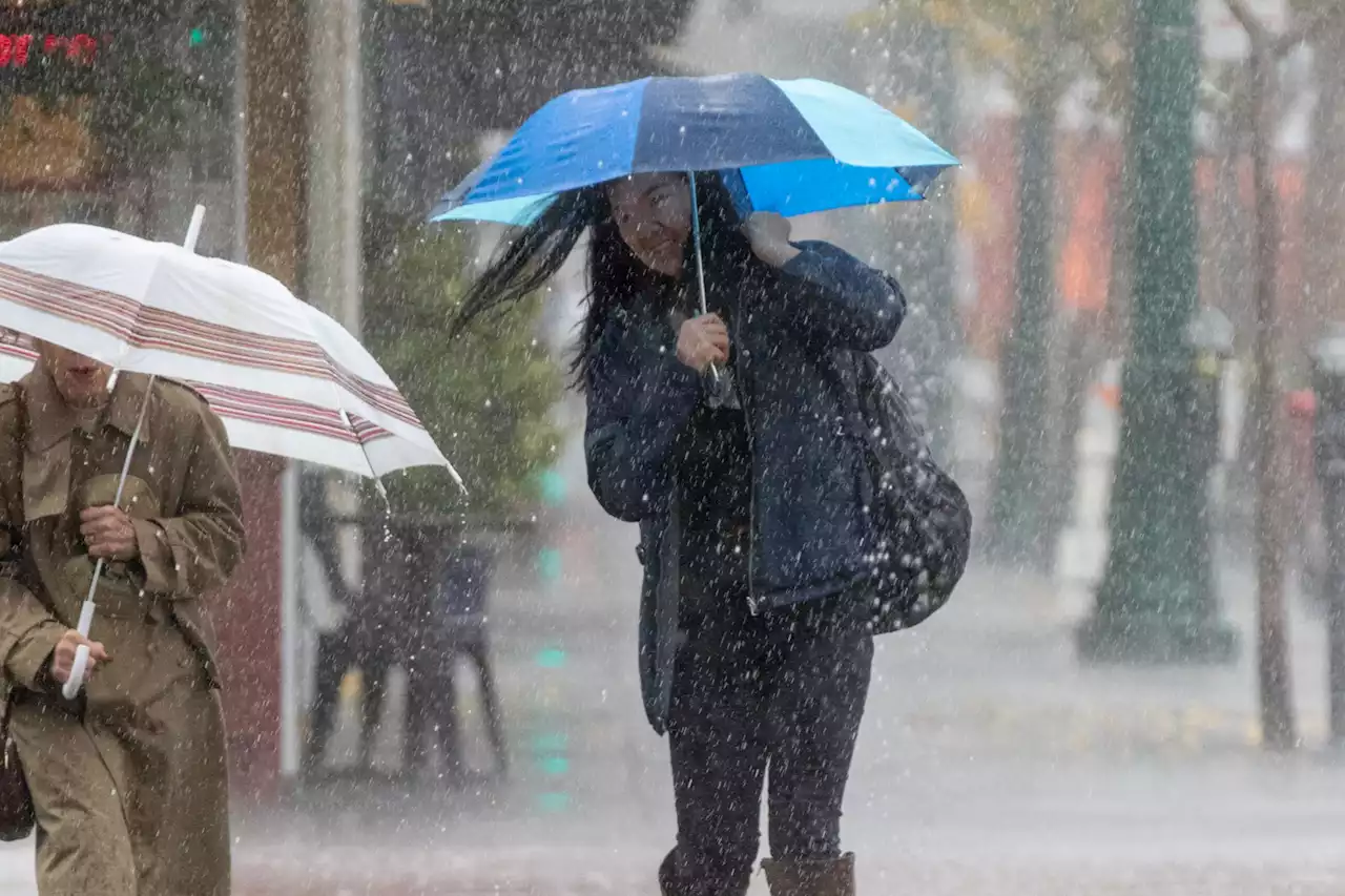 Up to 1.5 inches of rain possible in wettest parts of SF Bay Area