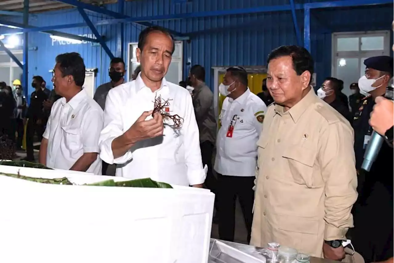 Momen Prabowo Dampingi Jokowi Salurkan Bansos, Resmikan Jembatan hingga Temui Nelayan