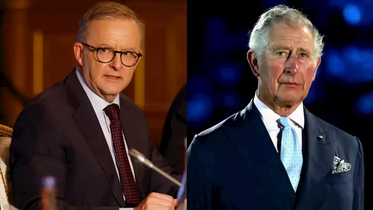 Albanese reveals what he will tell King Charles III in first meeting