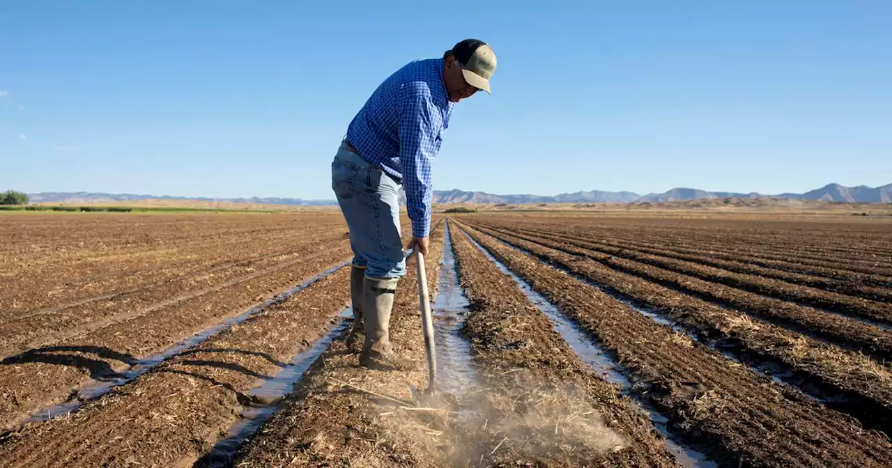 Farming, water and Wall Street on Colorado’s Western Slope